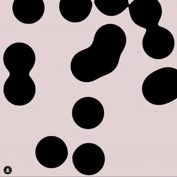 ezgif.com-video-to-gif-73-.gif