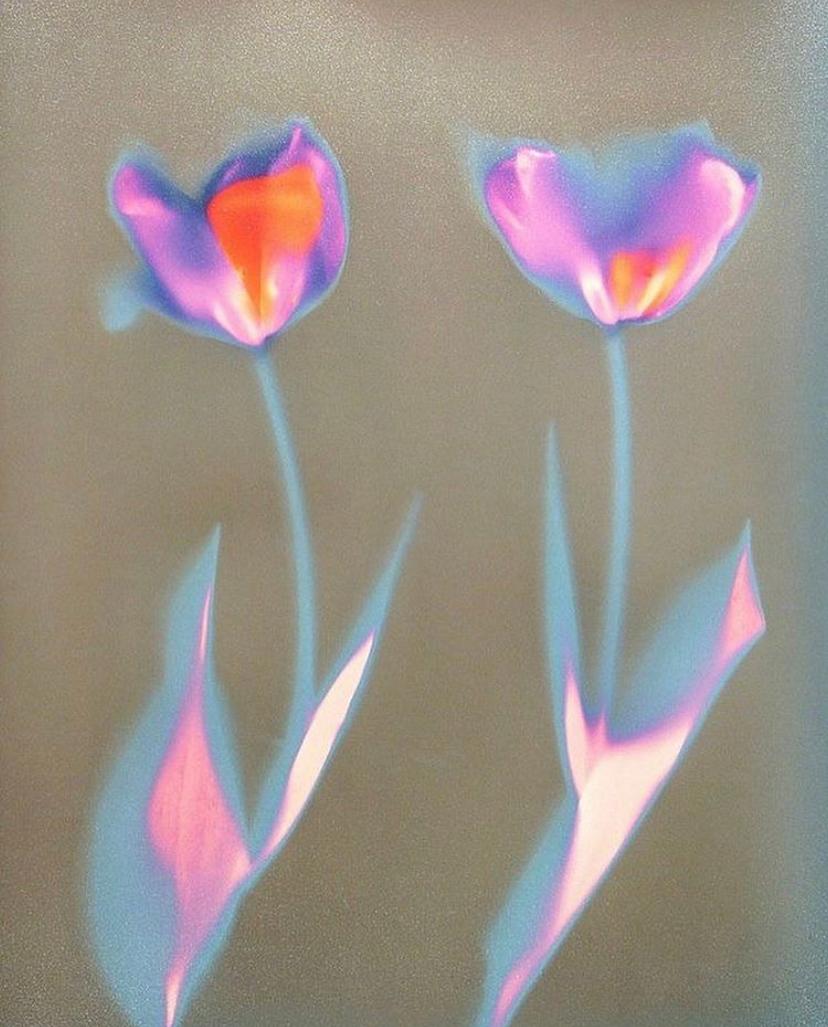 John Forbes